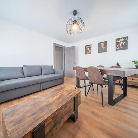 Super Near Basel 4 Personnes 7